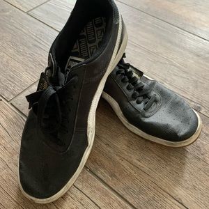 Puma Californias